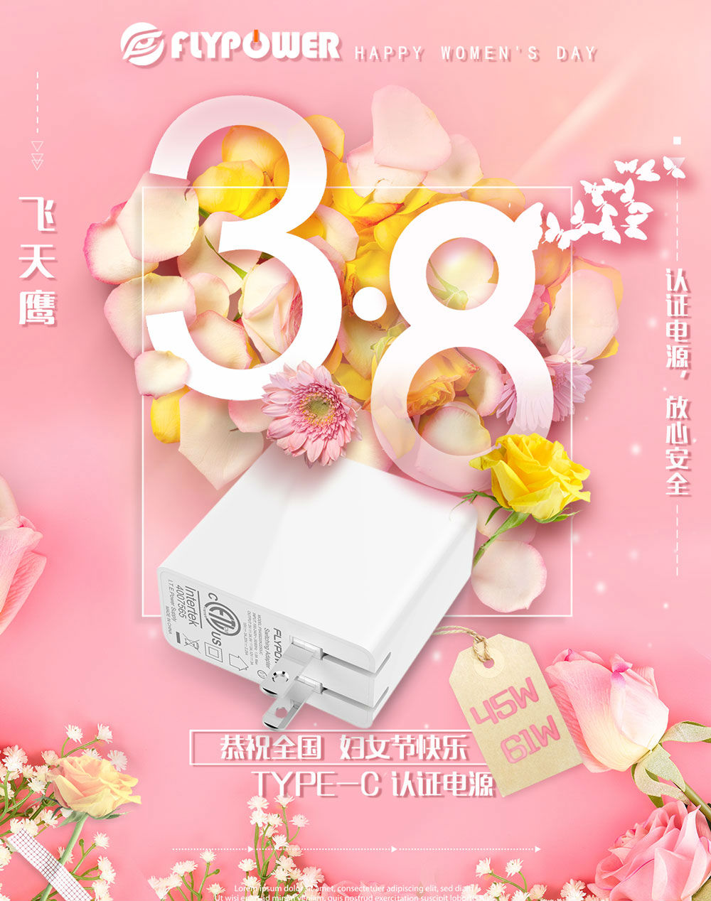 飛天鷹Type-c 充電器